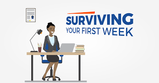 First Week at Work